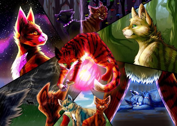 кот воители