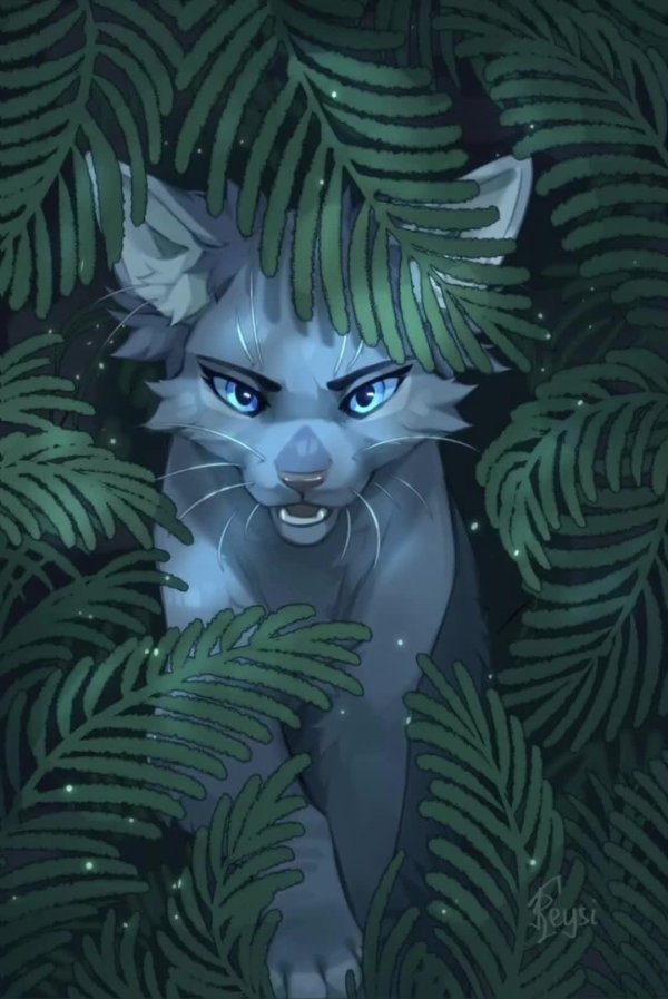 climbtothestars коты воители