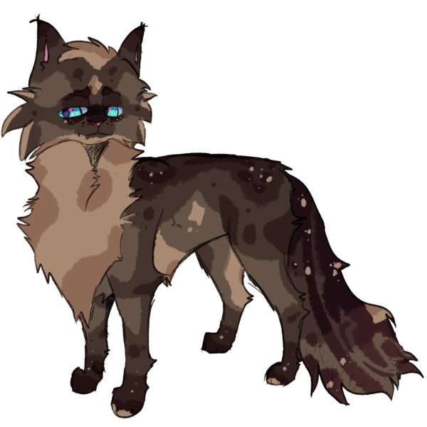 warrior cats hawkfrost