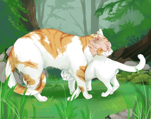 яролика и белохвост