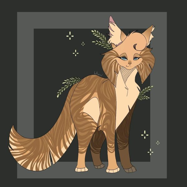 кот воители