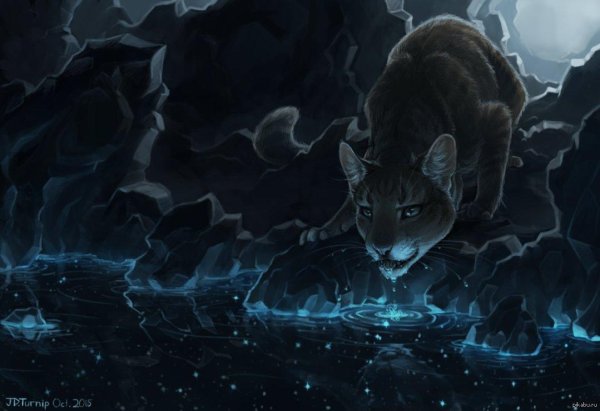 арт котов воителей