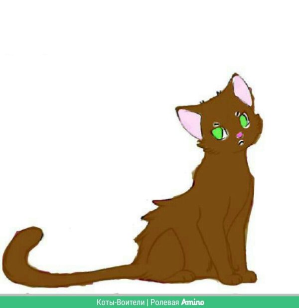 персонажи котов воителей