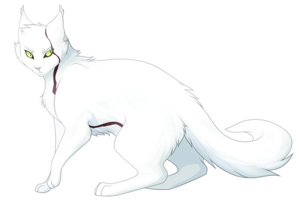 коты воители чернозвезд