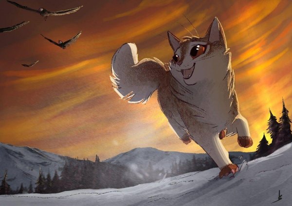 кот воители