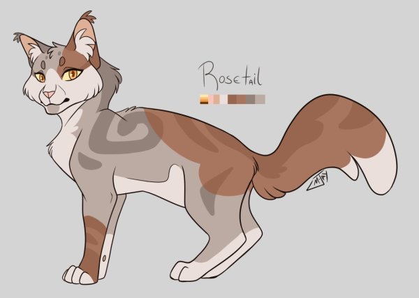 кот воители