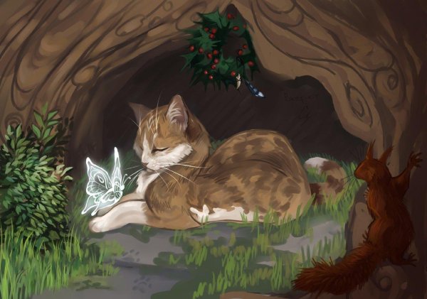 кот воители