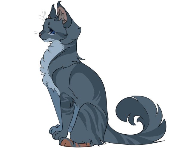 коты воители фурия