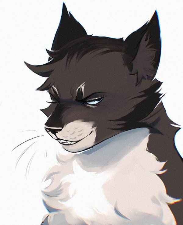 арт котов воителей