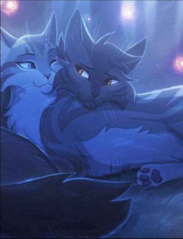 коты воители синяя звезда