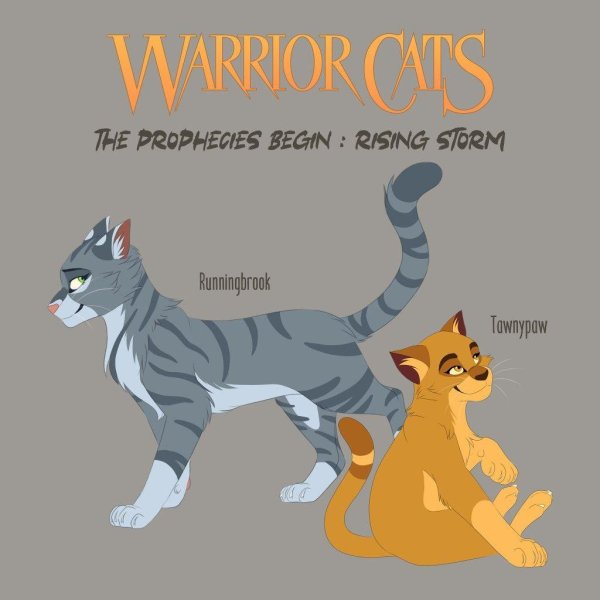 кот воители