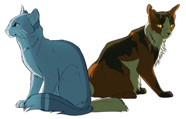 невидимая звезда коты воители