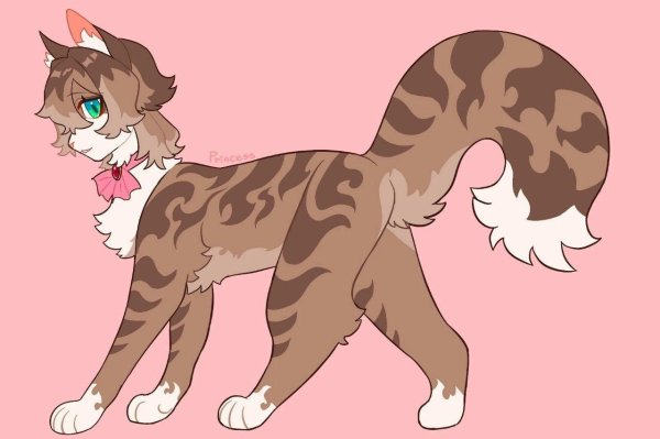 персонажи котов воителей