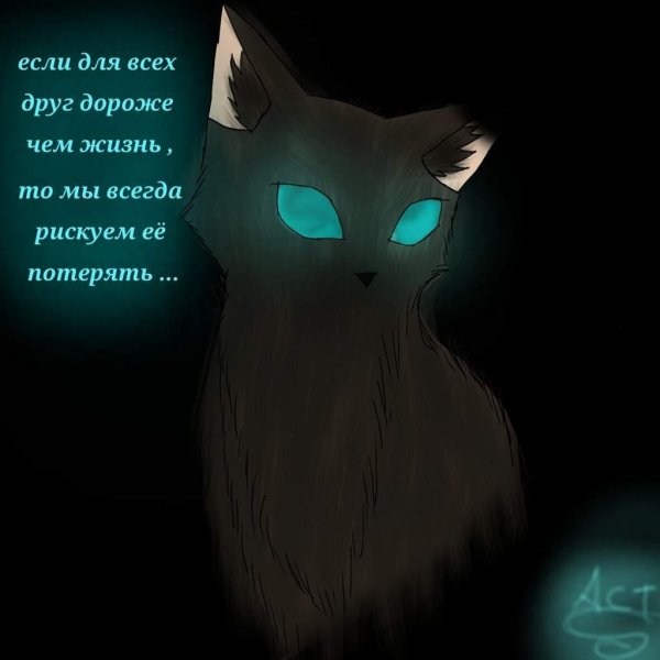 кот воители