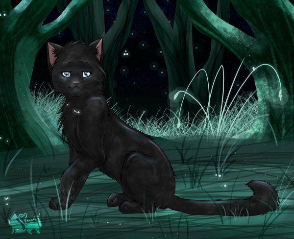 коты воители беззвездная ночь