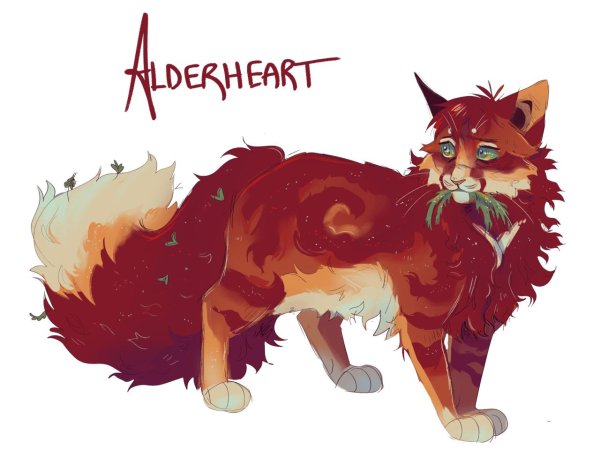 warrior cats alderheart