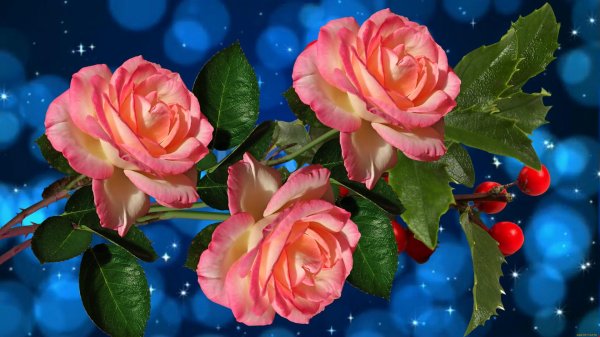 анимированные розы