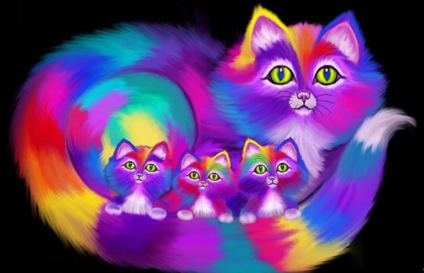 радужные котята