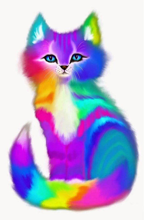 цветные кошки