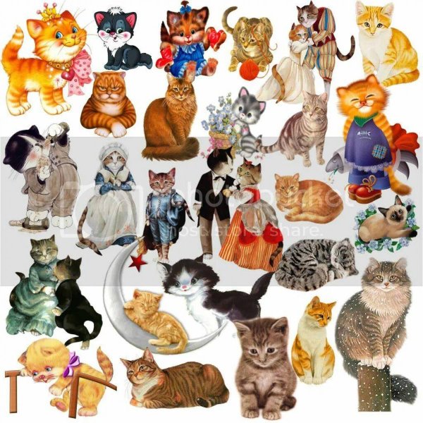 кошки наклейки