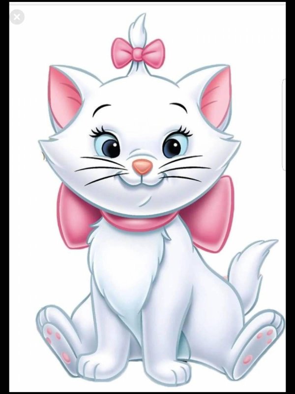 кошечка мари