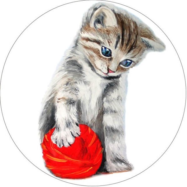 котик с клубком