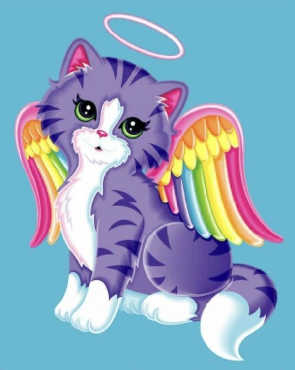 радужная кошечка