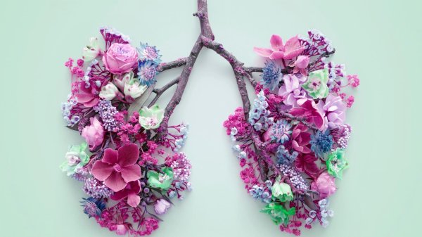 дыхательной системы