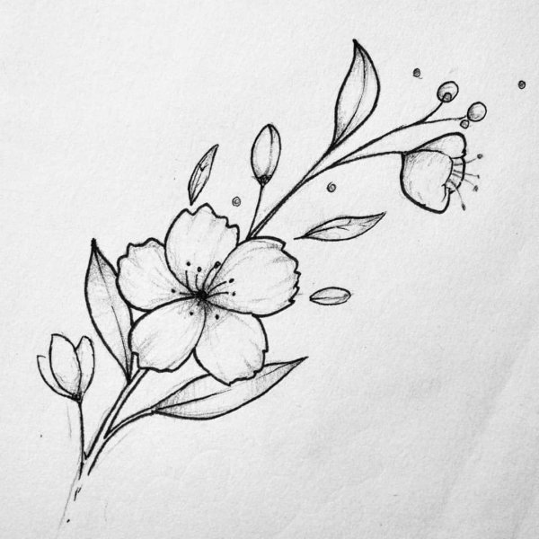 эскиз тату веточка