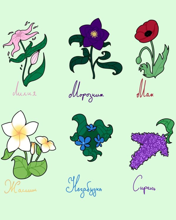 цветок с названием