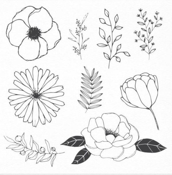 эскиз цветка простой