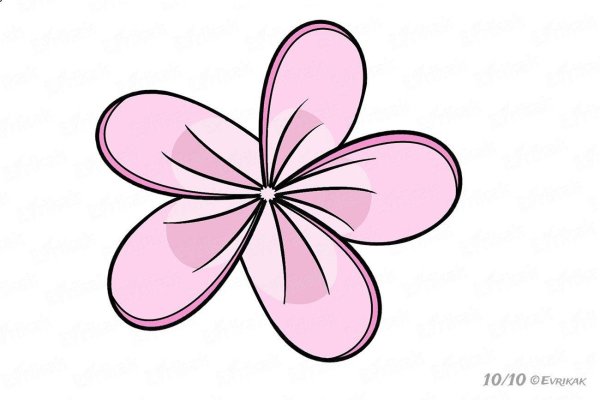 цветочек рисунок