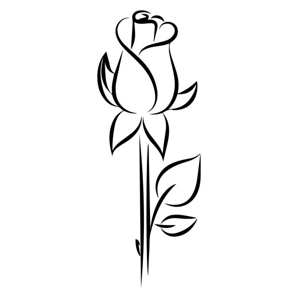 роза контур