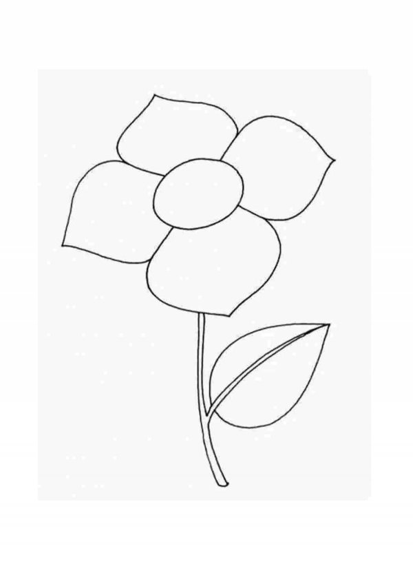цветки раскраска