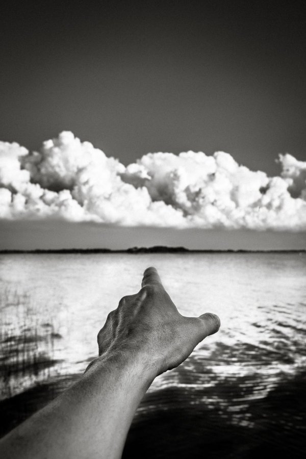 чб картинки