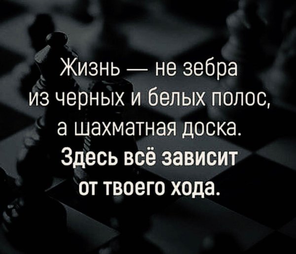 жизнь не зебра из черных и белых