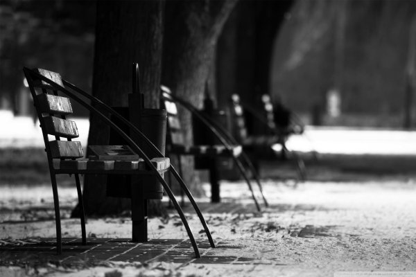 парк со скамейками