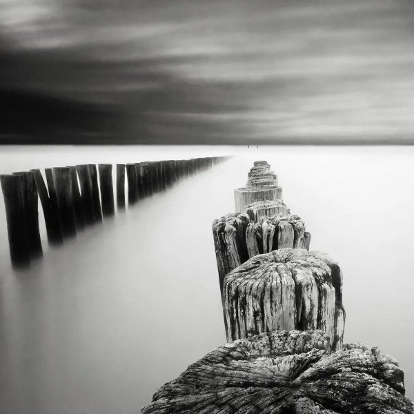 чёрно белый пейзаж