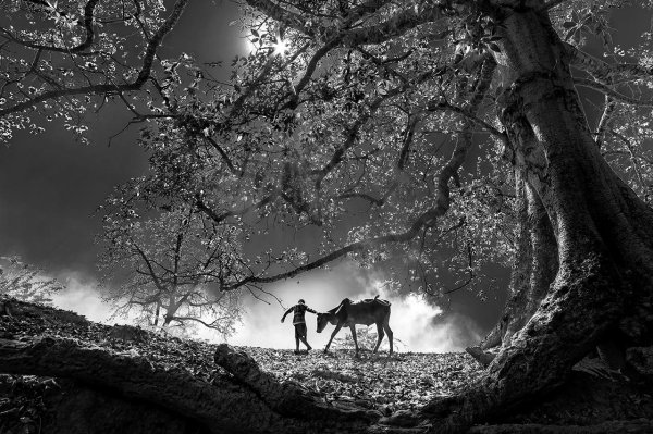 рариндра пракарса фотограф