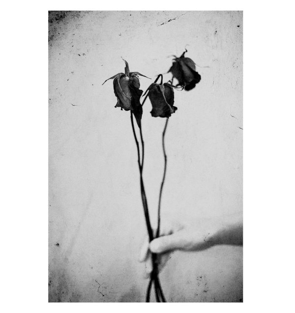 чёрнобелые картины