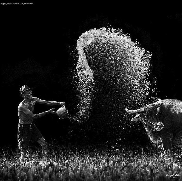 работы фотографов