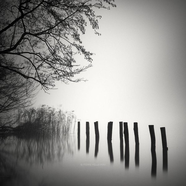 пьер пеллегрини фотограф