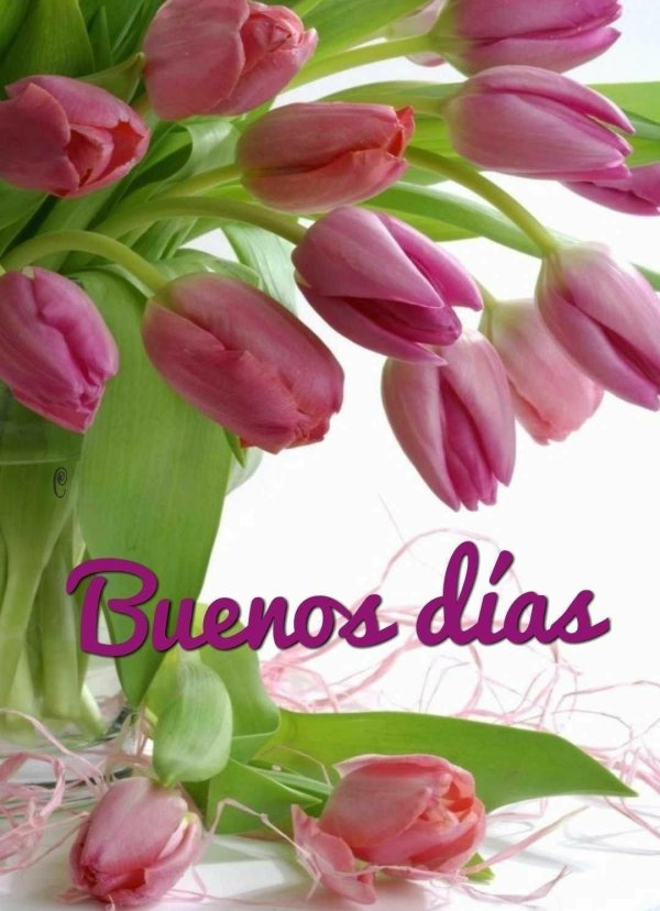 открытка с тюльпанами