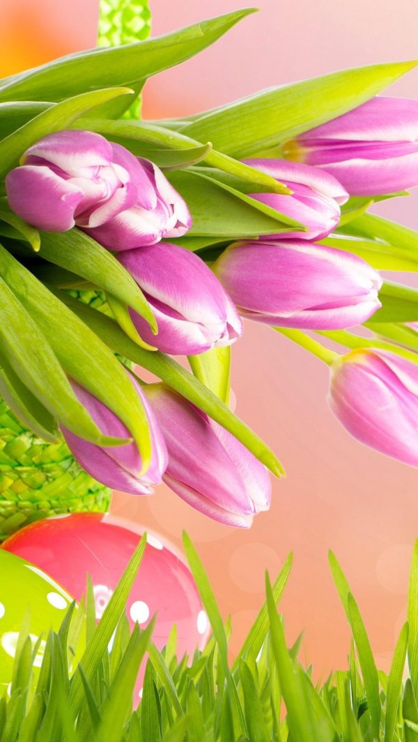 фон весенний