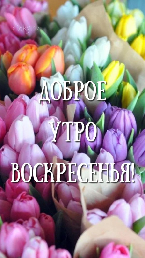 воскресенье воскресения