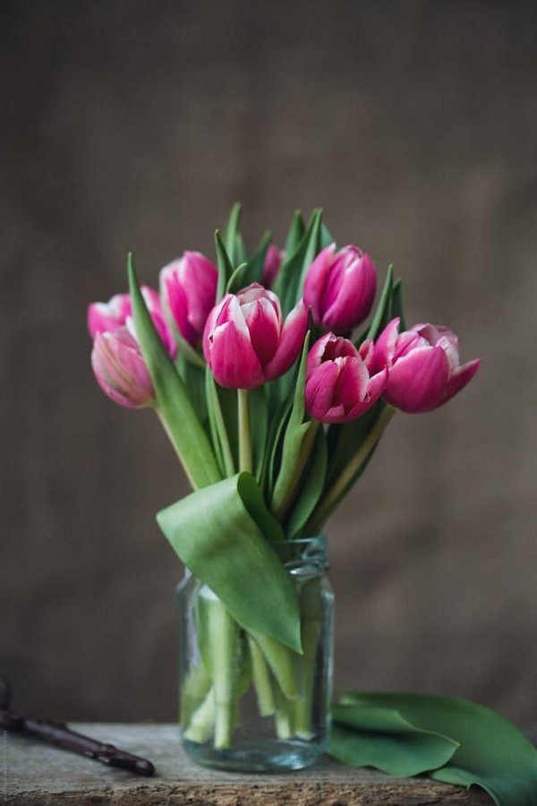 ваза с тюльпанами