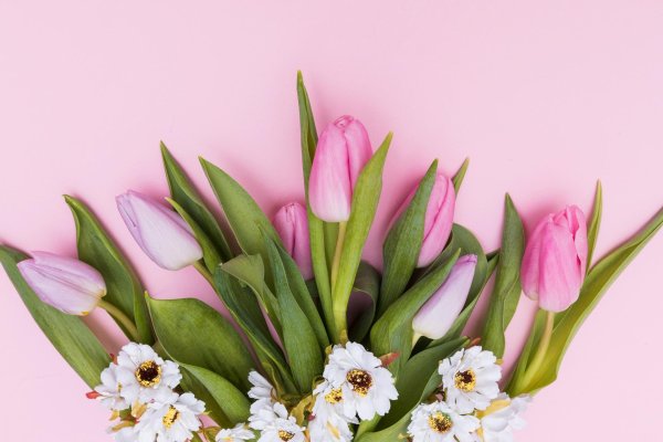 красивые цветы на 8 марта