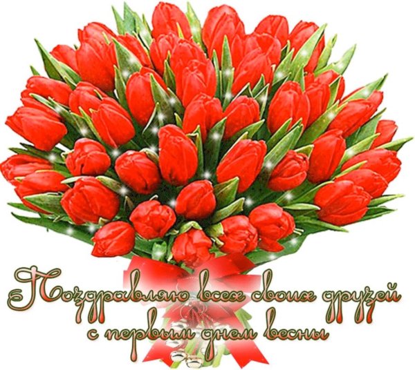 тюльпан красный