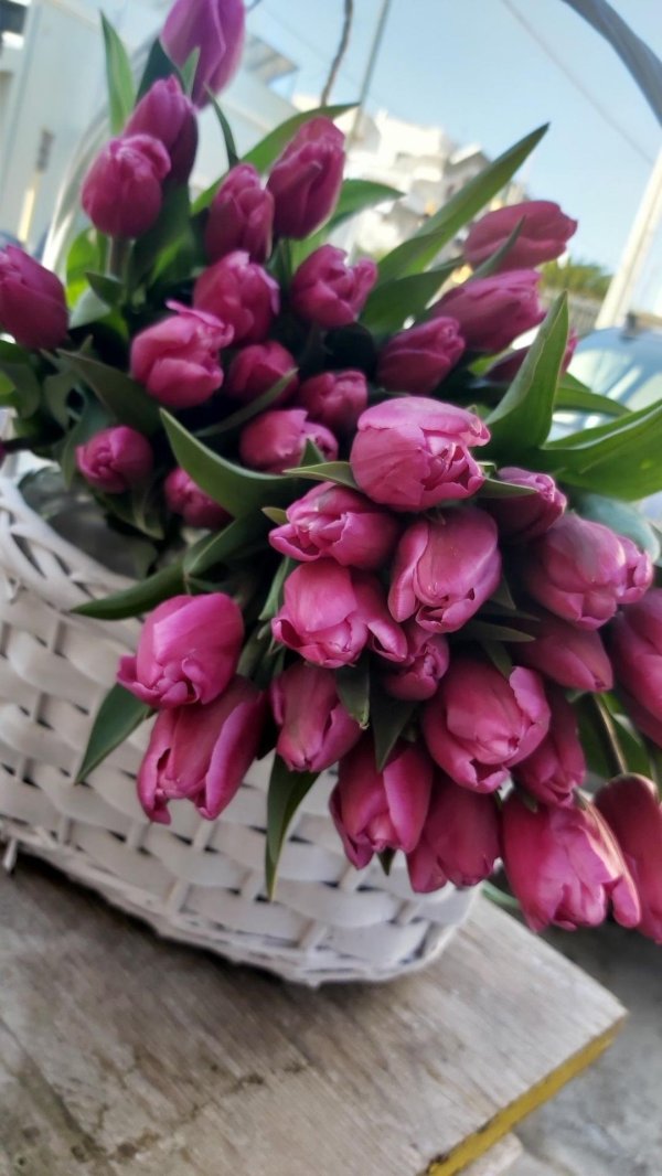 красивые букеты тюльпанов