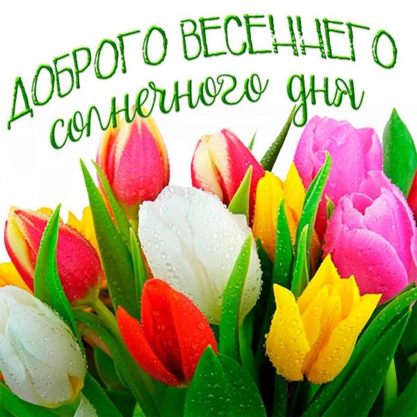 с хорошим весенним днем